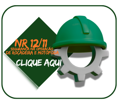NR 12 e NR11 - SEGURAN�A NA OPERA��O DE MOTOSERRA, MOTOPODA E RO�ADEIRA