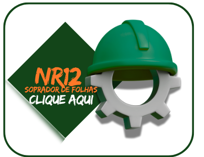 NR 12 - SEGURANÇA NA OPERAÇÃO DE SOPRADOR DE FOLHAS E CORTADOR DE GRAMA NR 12 - SEGURANÇA NA OPERAÇÃO DE SOPRADOR DE FOLHAS E CORTADOR DE GRAMA
