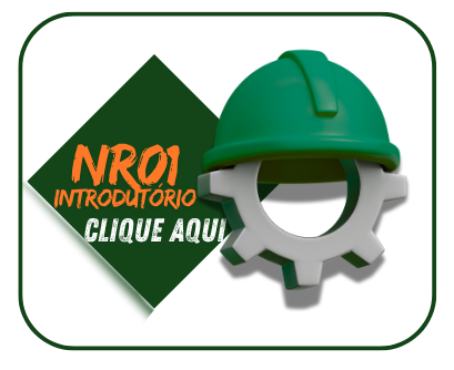 NR 01 - INTRODUTÓRIO NR 01 - INTRODUTÓRIO